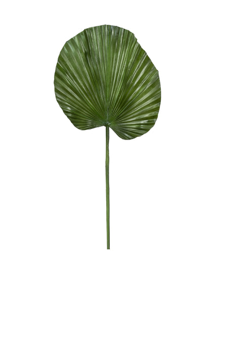 40" Fan Palm Leaf   ST1036