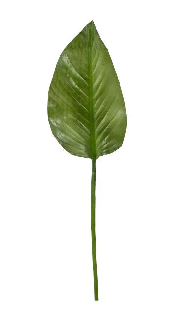 24" Small Calla Lily Leaf   ST1024