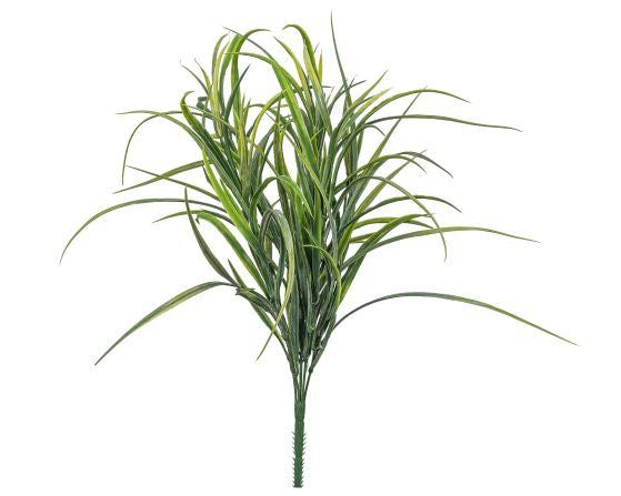 25" Onion Grass Bush    GS1006