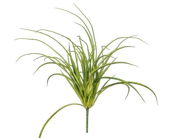 20" Air Plant Grass Bush   GS1008