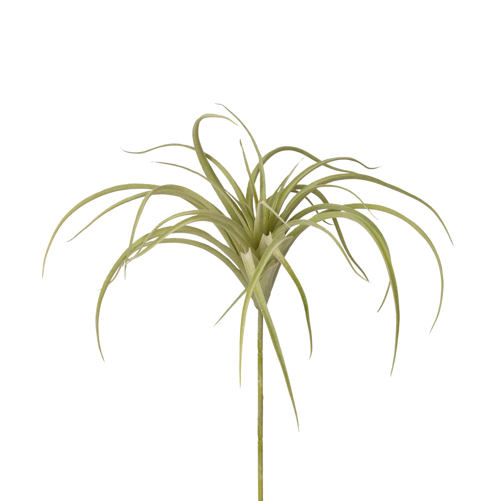 9" Green Airplant AP1004