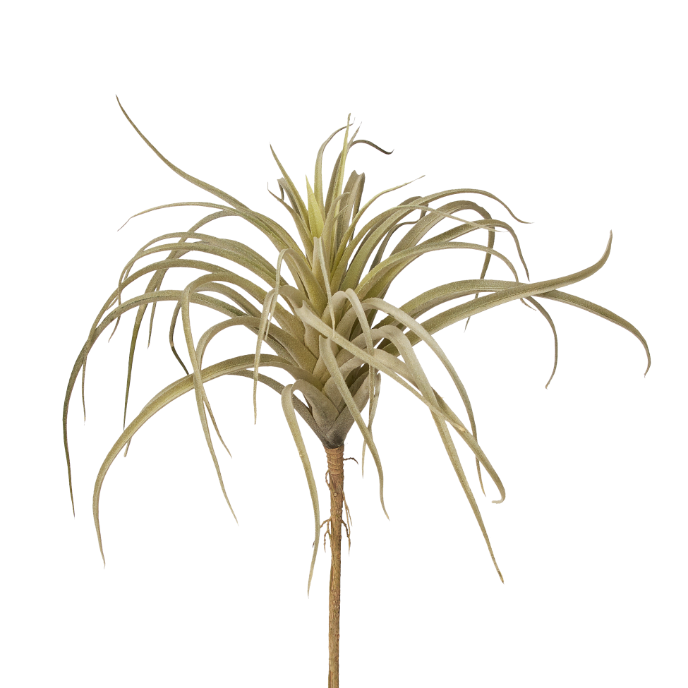 11" Green/Grey Airplant AP1005