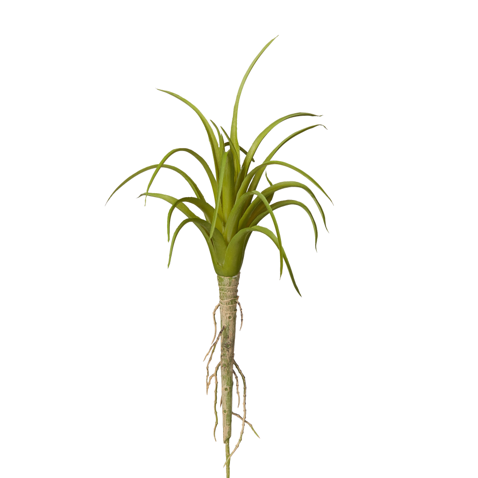 8" Green Airplant AP1006