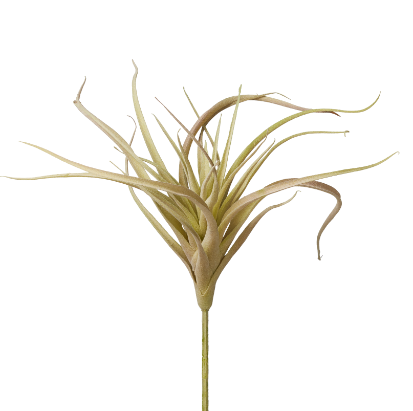 9" Green/Red Airplant  AP1007
