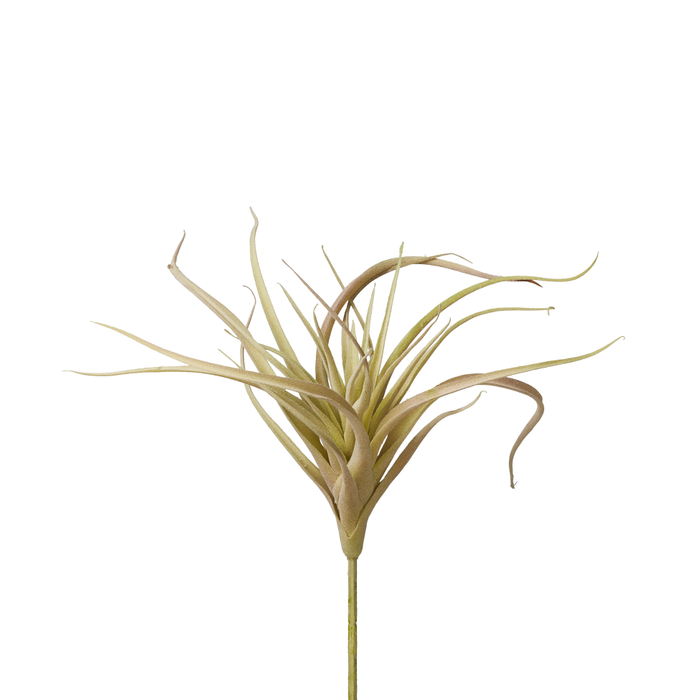 9" Green/Red Airplant  AP1007