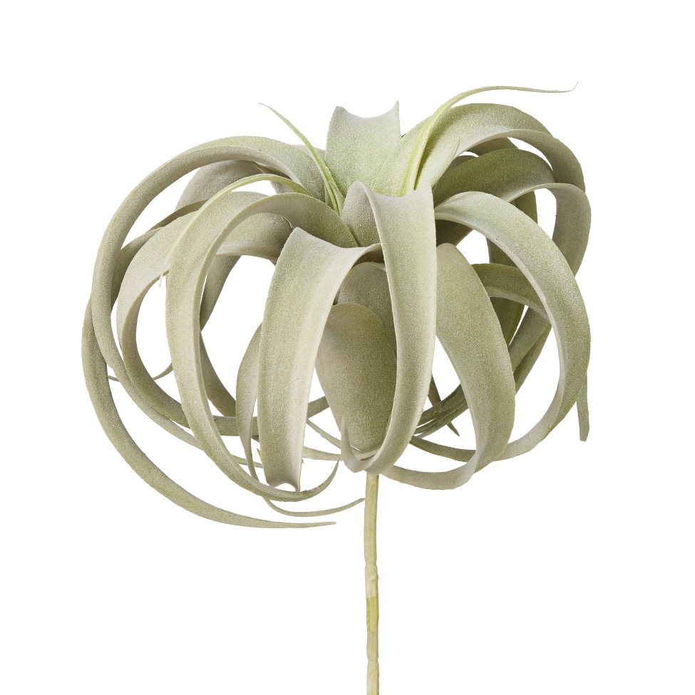 10" Green Airplant AP1008