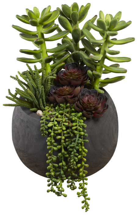 10” Black Sedona Wood Bowl with Mixed Succulents AR1001