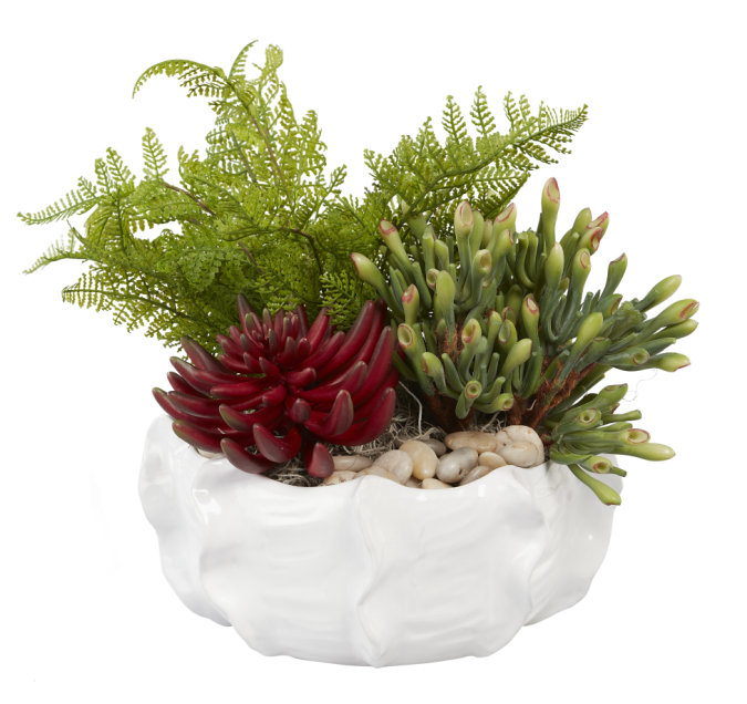 10.5" Cache Bowl with Succulents AR1002