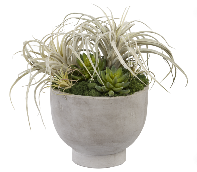 9" Mack Concrete Compote Bowl with Mixed Airplants and Succulents AR1006