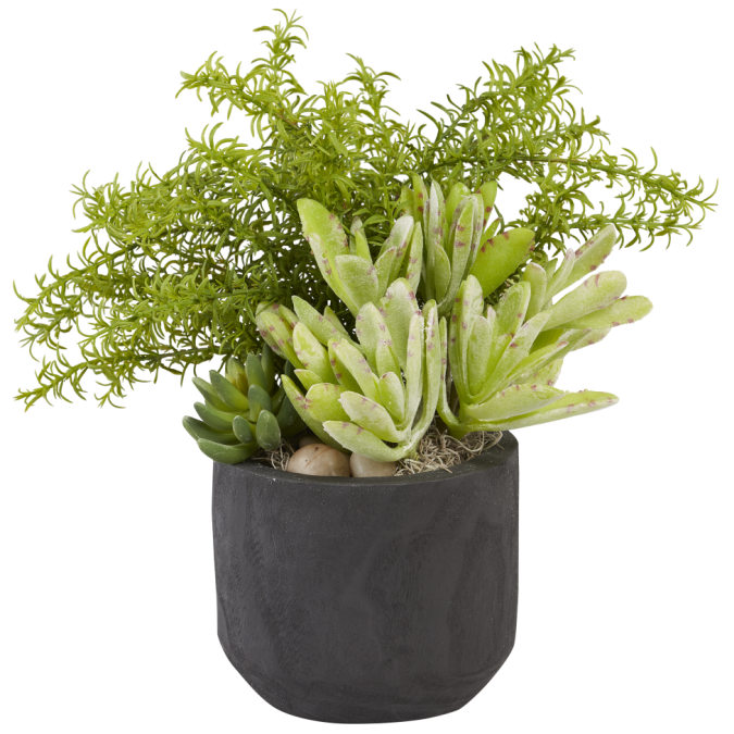 6" Black Sedona Wood Pot with Mixed Succulents AR1009