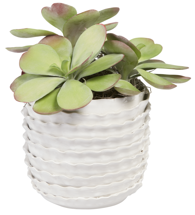 7” Artsi Pot with Succulents AR1016