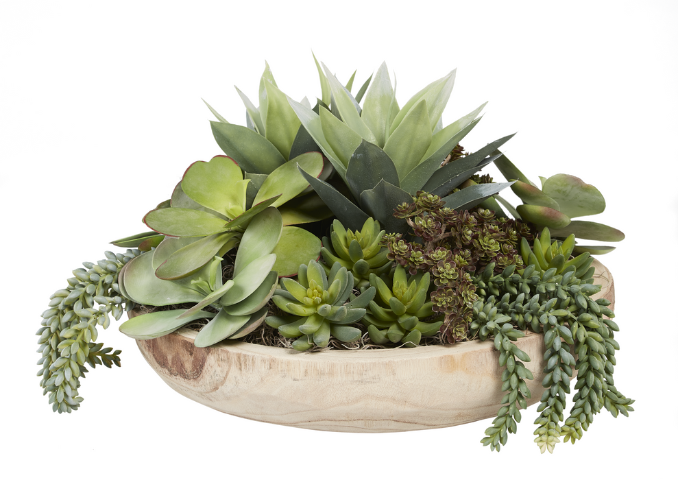 17" Sedona Wood Bowl with Mixed Succulents AR1022