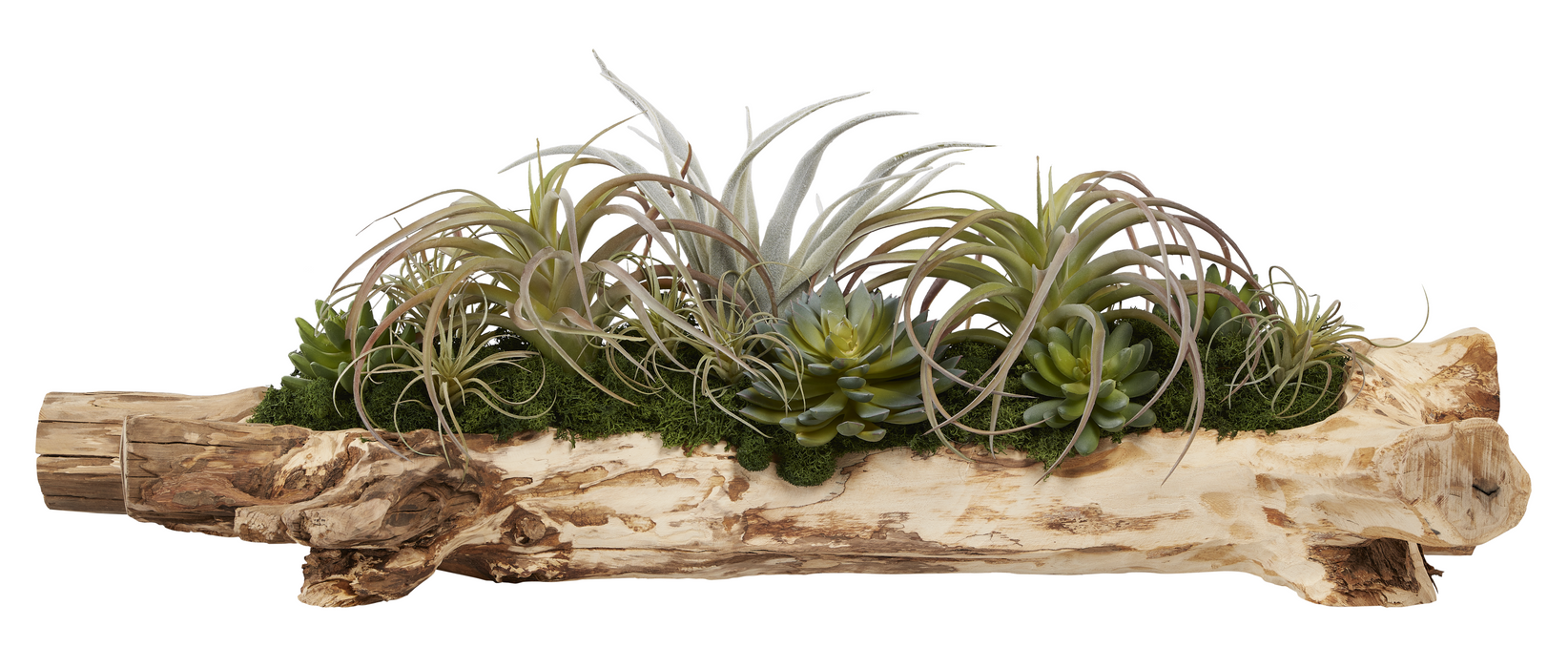 36" Driftwood with Mixed Airplants and Succulents AR1025