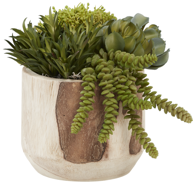 7” Sedona Wood Pot with Succulents AR1027
