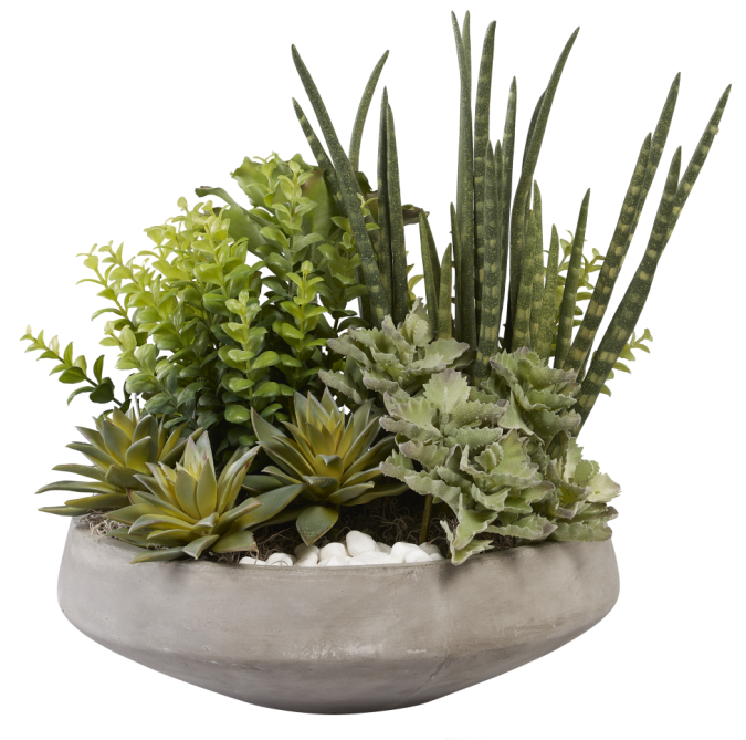 15"W Mack Concrete Bowl with Mixed Succulents AR1029