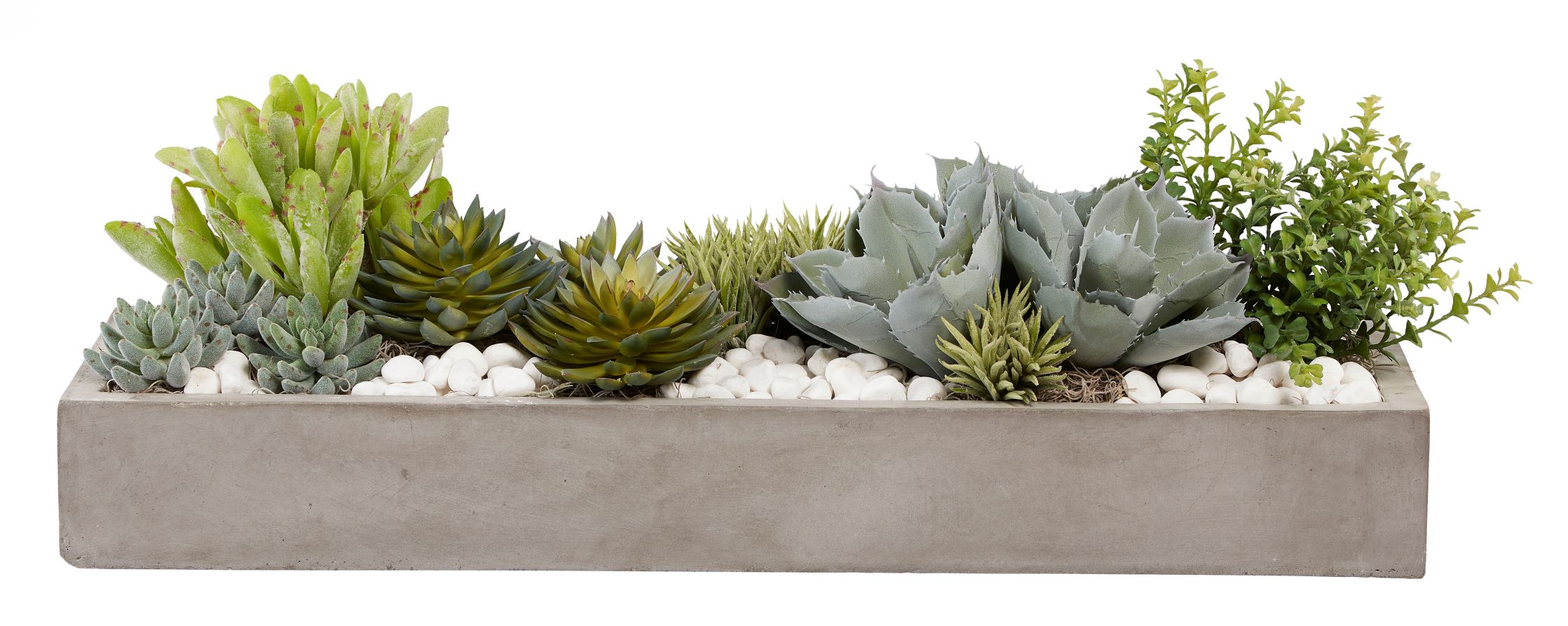 Balboa Collection Tray Planters   CN1008