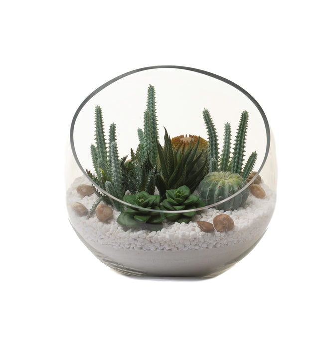 12" Bubba Slant Bowl with Cactus and Succulents   AR1041