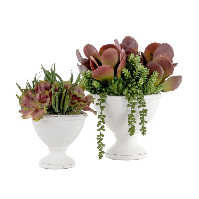 8" Benoit Short Ceramic Bowl with Succulents AR1044