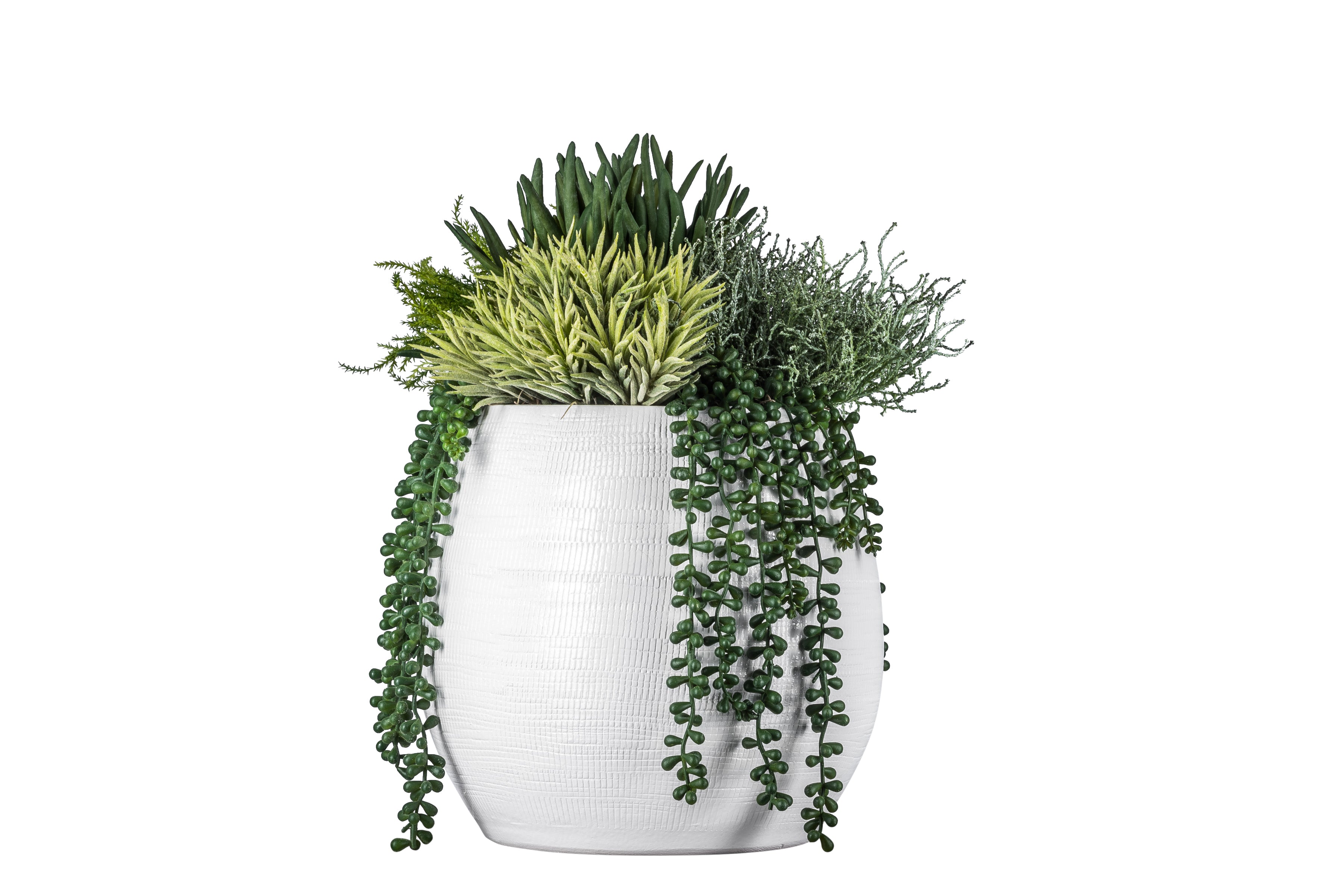 11" Benji Pot with Succulent Arrangement AR1060