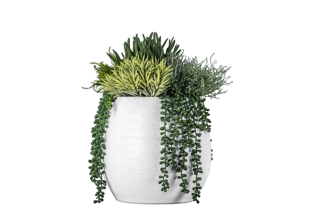 11" Benji Pot with Succulent Arrangement AR1060