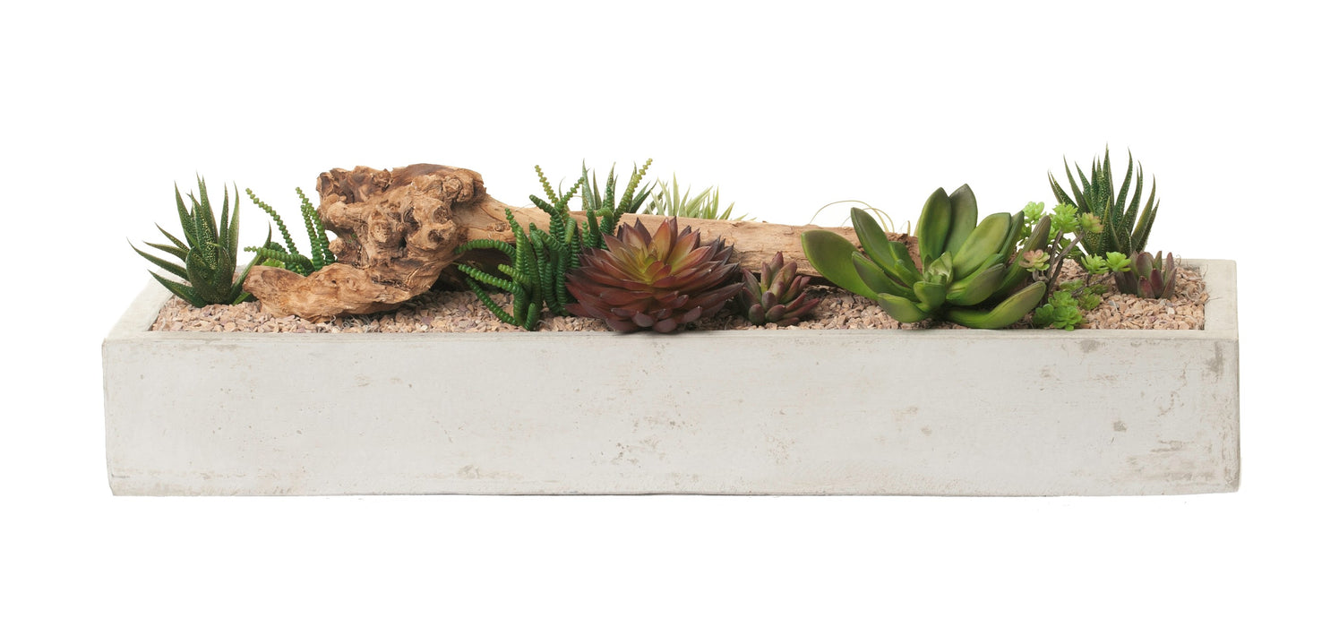 31” Balboa Concrete Tray with Driftwood & Succulent Arrangement AR1085