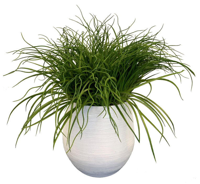 11" Benji Pot with Grass Arrangement   AR1089