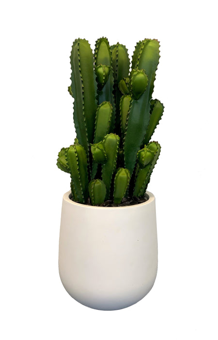 22” Cactus 3 Heads    CC1011