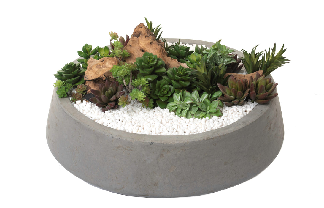 15" Mack Concrete Bowl with Succulent & Driftwood Arrangement   AR1099
