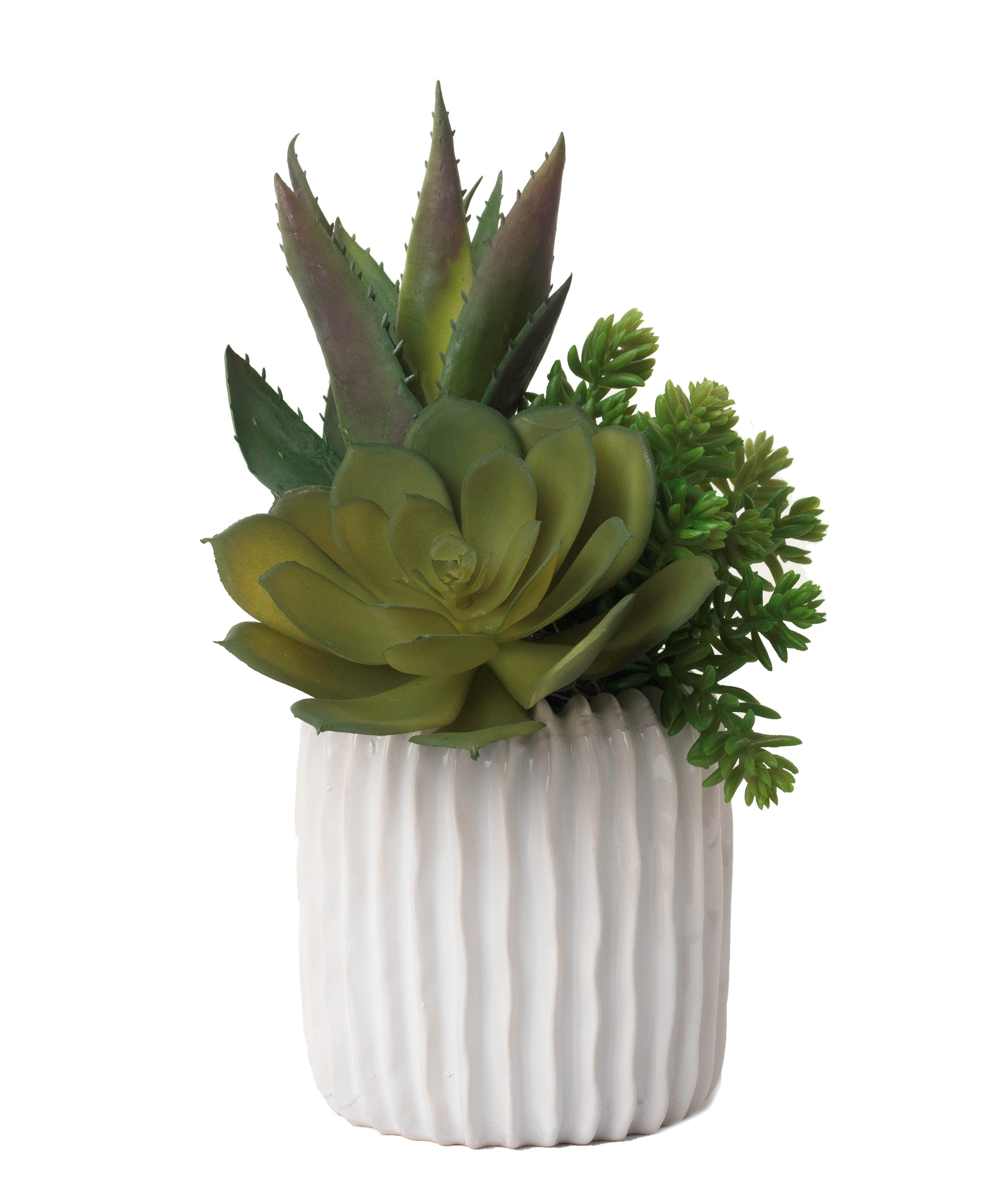 5" Haven Pot with Succulent Arrangement AR1101