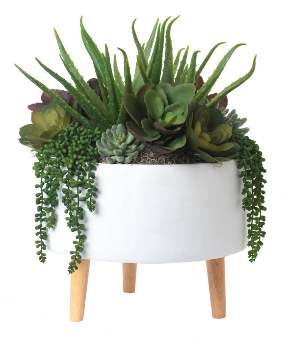 15" Parkview Planter with Succulents  AR1106