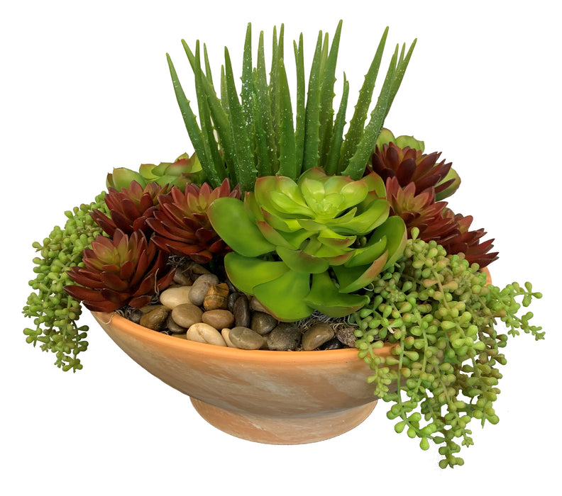 19" Kobe Compote Bowl with Aloe and Succulent Arrangement   AR1115