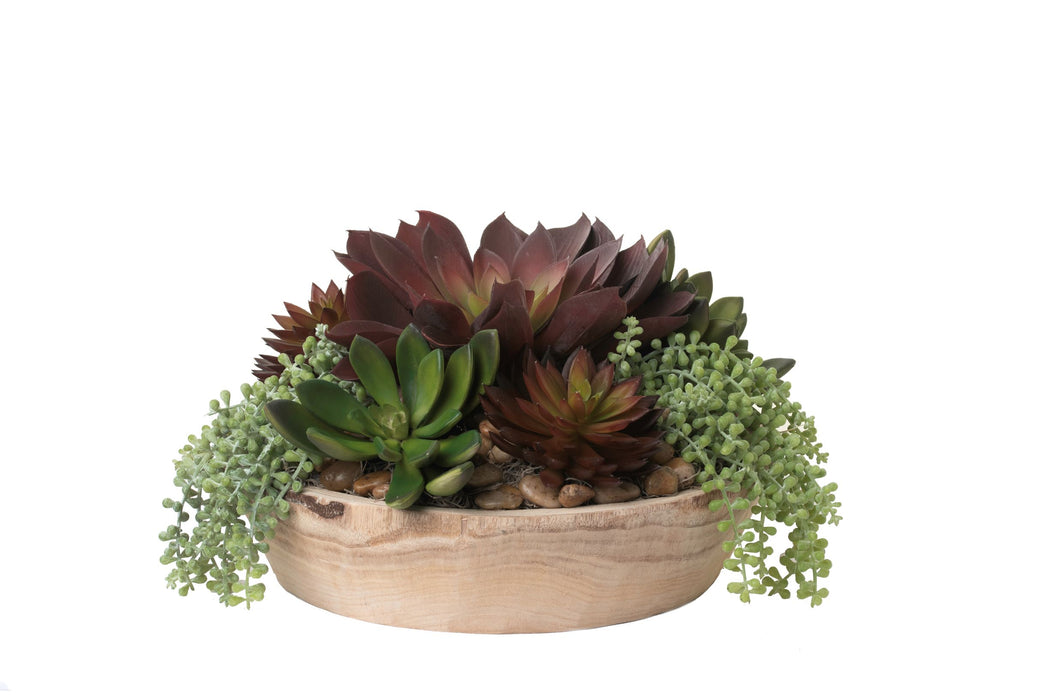 15" Sedona Bowl with Succulent Arrangement  AR1116