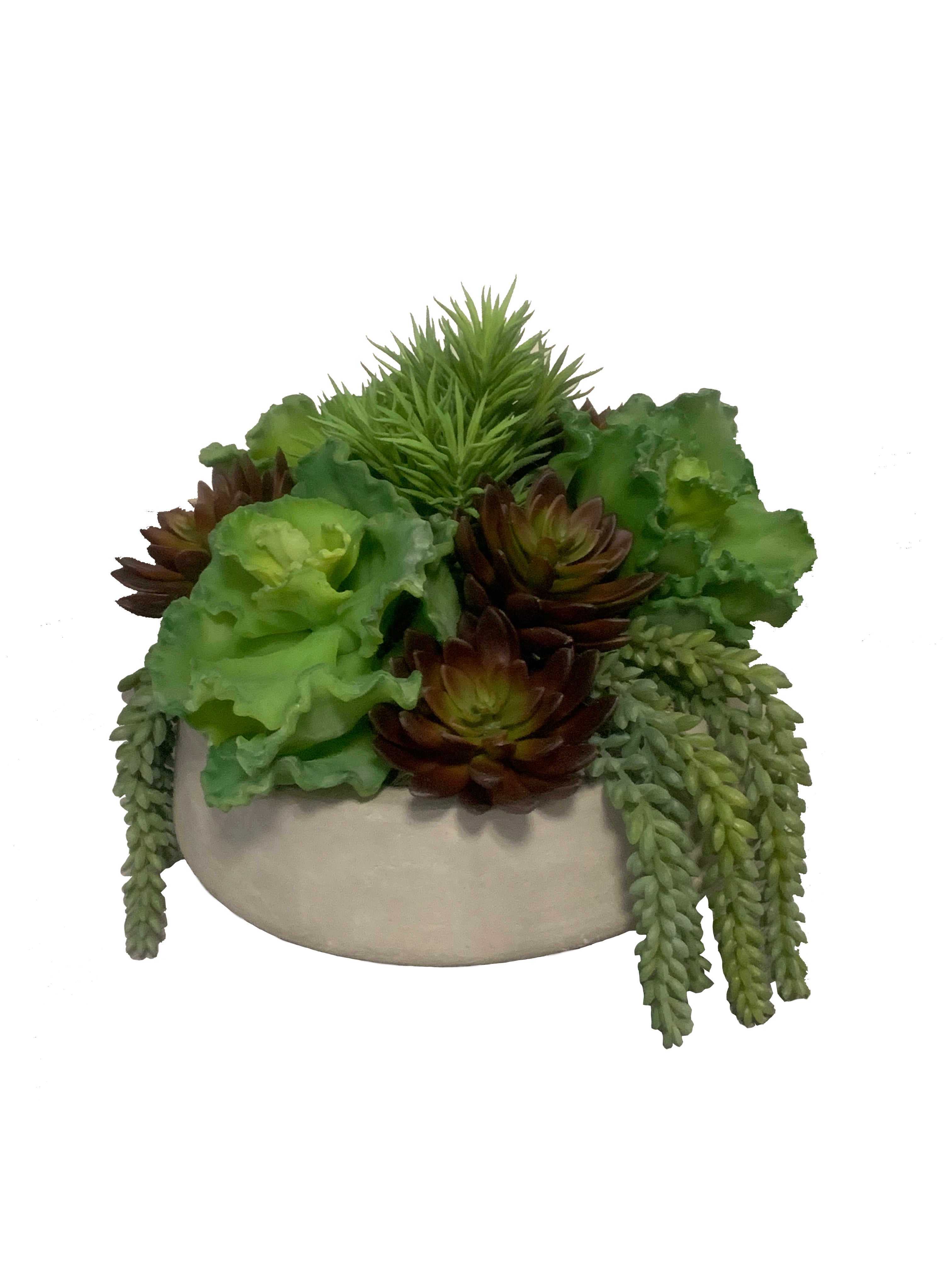 12" Mack Concrete Bowl with Mixed Succulents AR1123