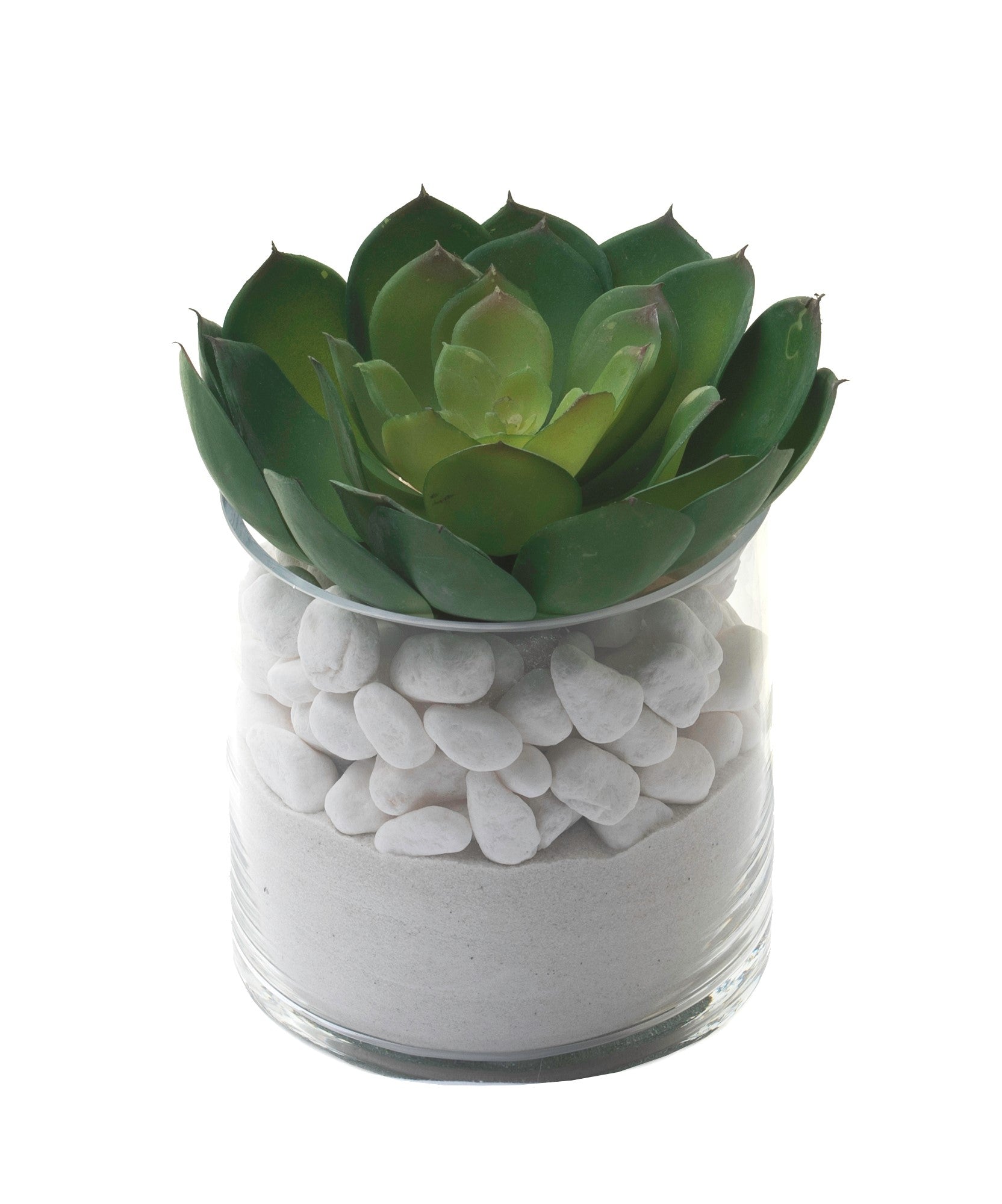 6” Mazzy Vase with Succulent Flower AR1125