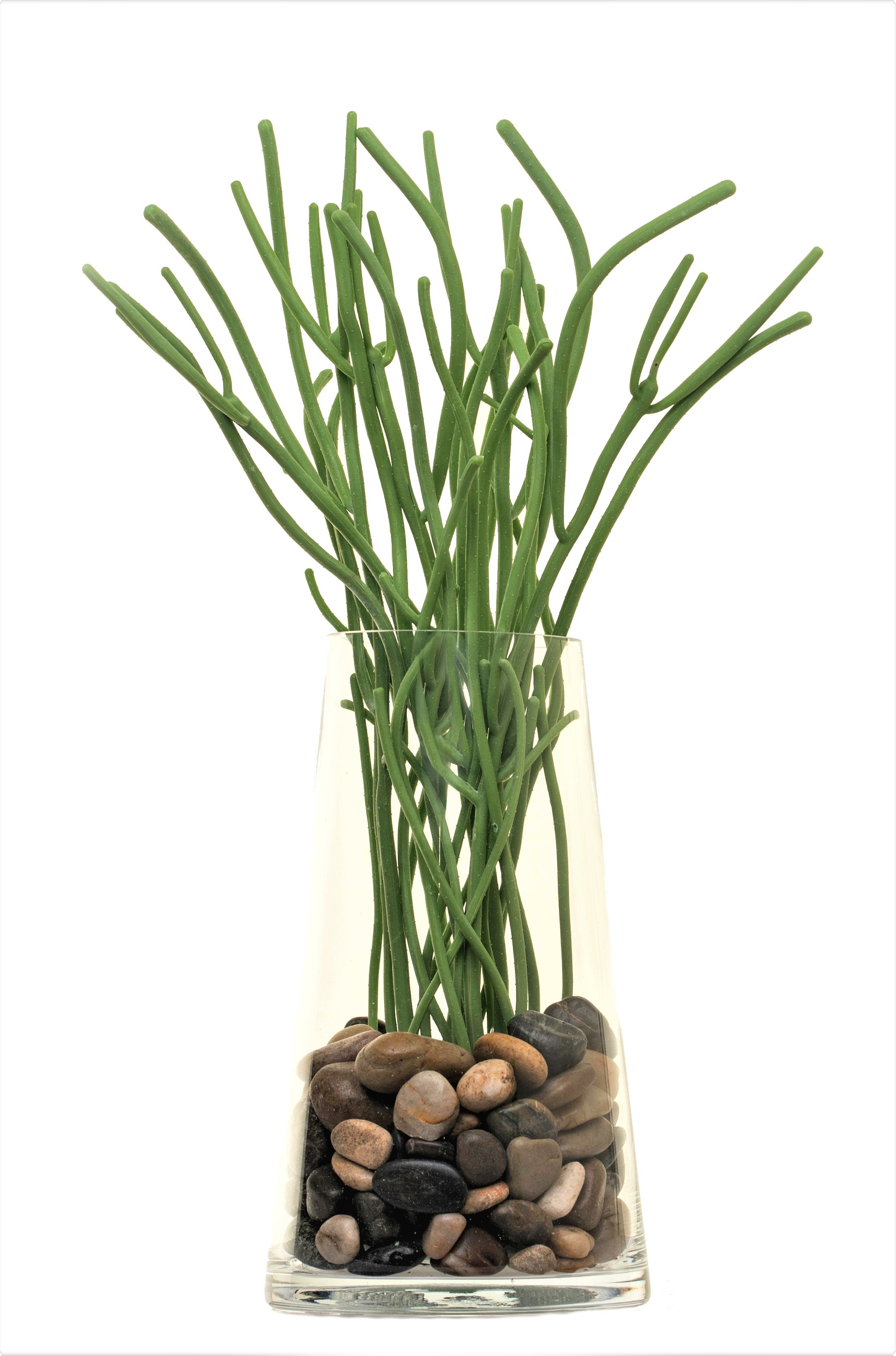 12" Tapered Mazzy Vase with Rhipsalis Spray Arrangement AR1128