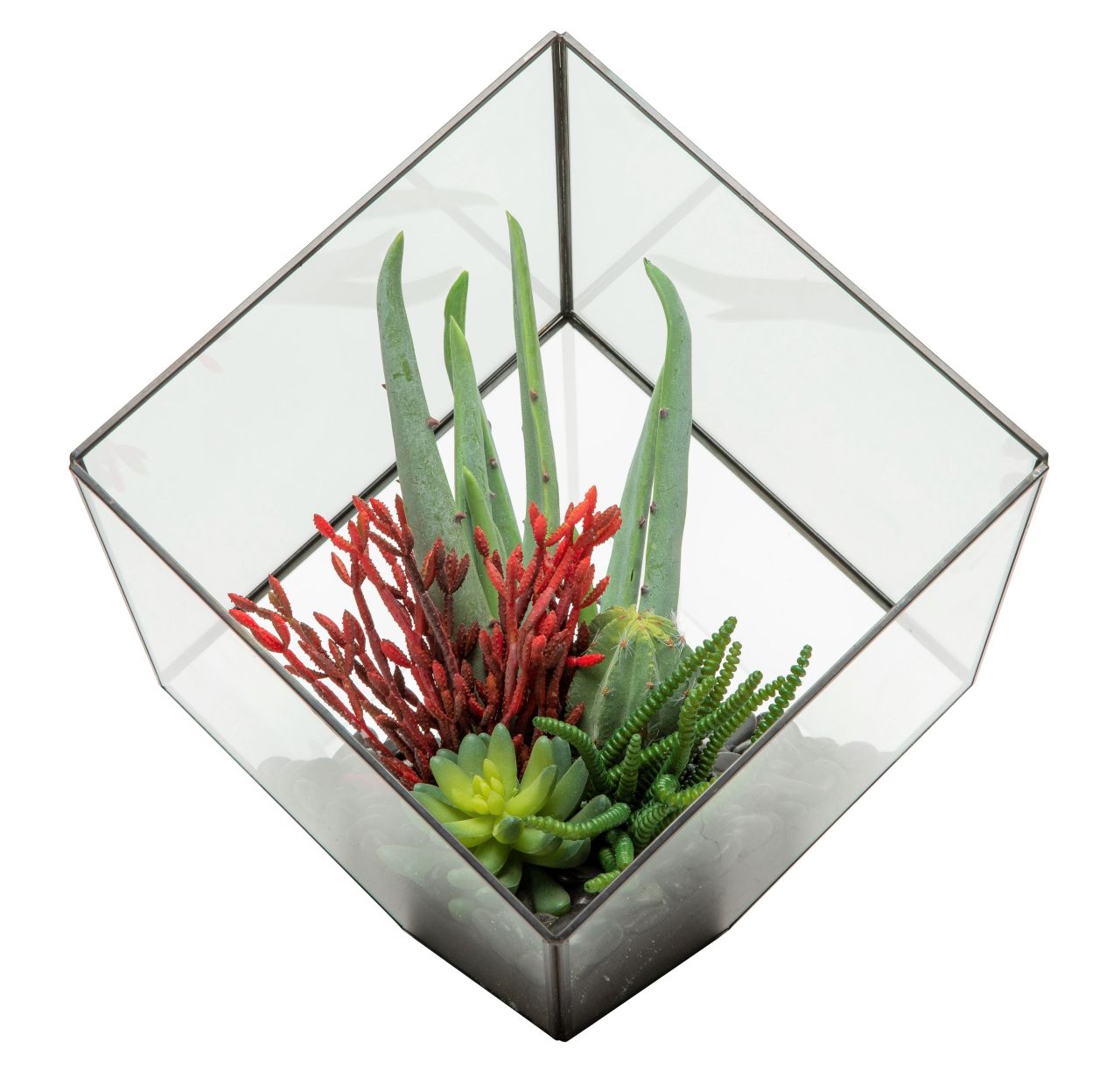 Large Black Berkley Terrarium Arrangement AR1129