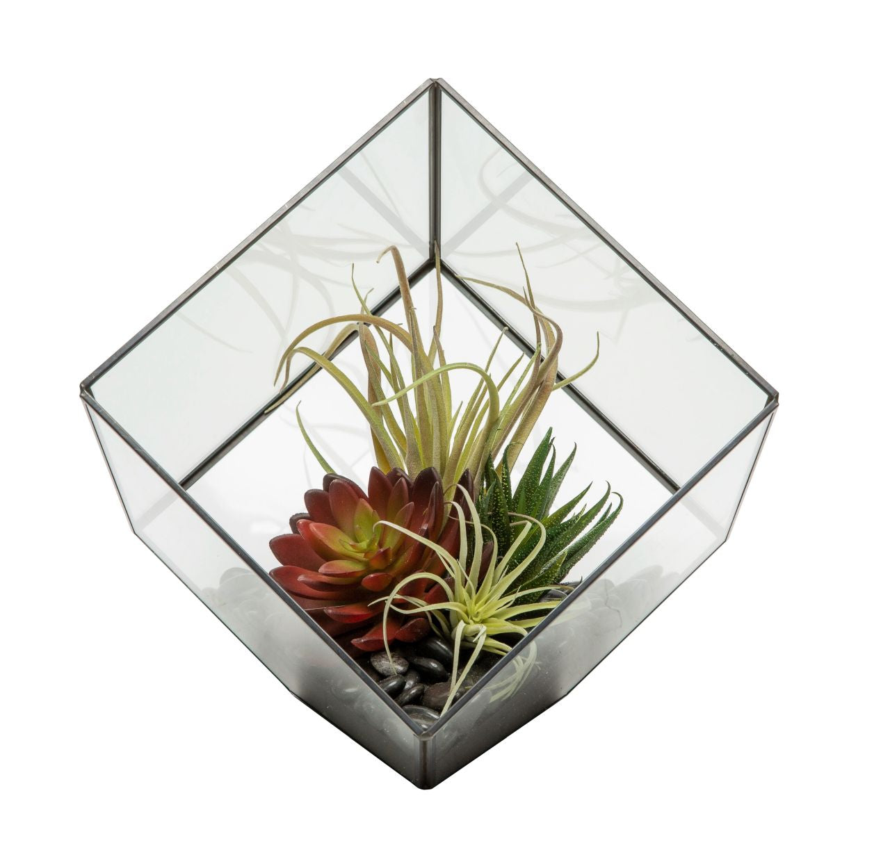 Medium Black Berkley Terrarium Arrangement AR1130