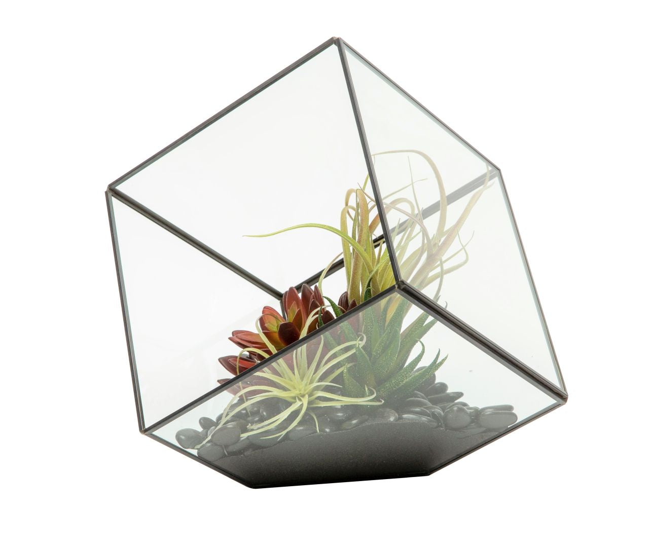 Medium Black Berkley Terrarium Arrangement AR1130