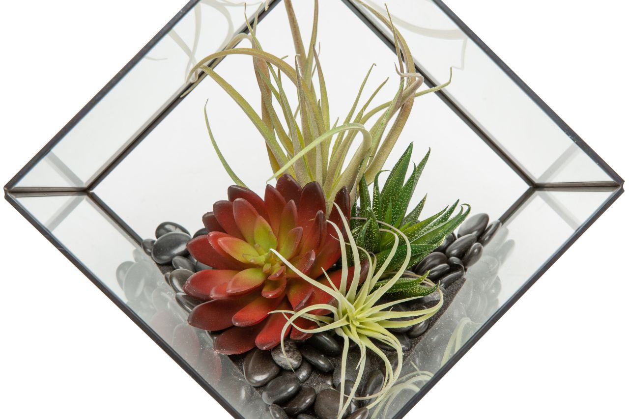 Medium Black Berkley Terrarium Arrangement AR1130