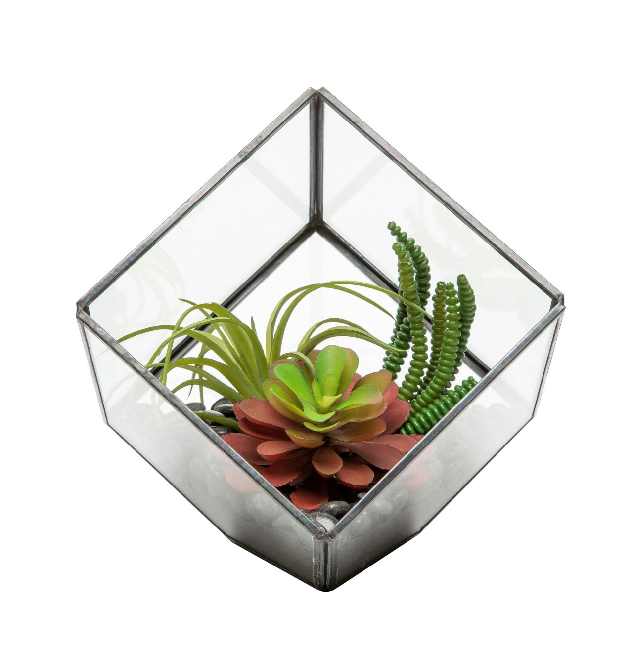 Small Black Berkley Terrarium Arrangement AR1131