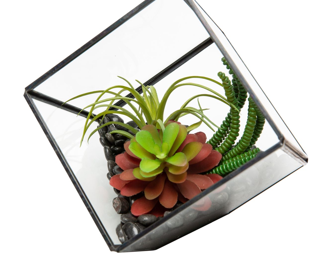 Small Black Berkley Terrarium Arrangement AR1131