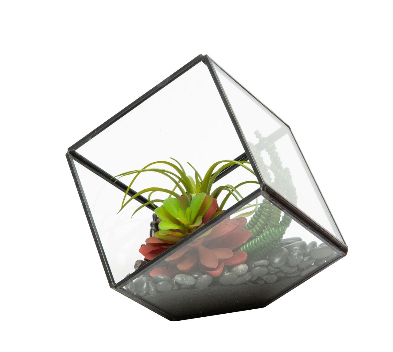 Small Black Berkley Terrarium Arrangement AR1131