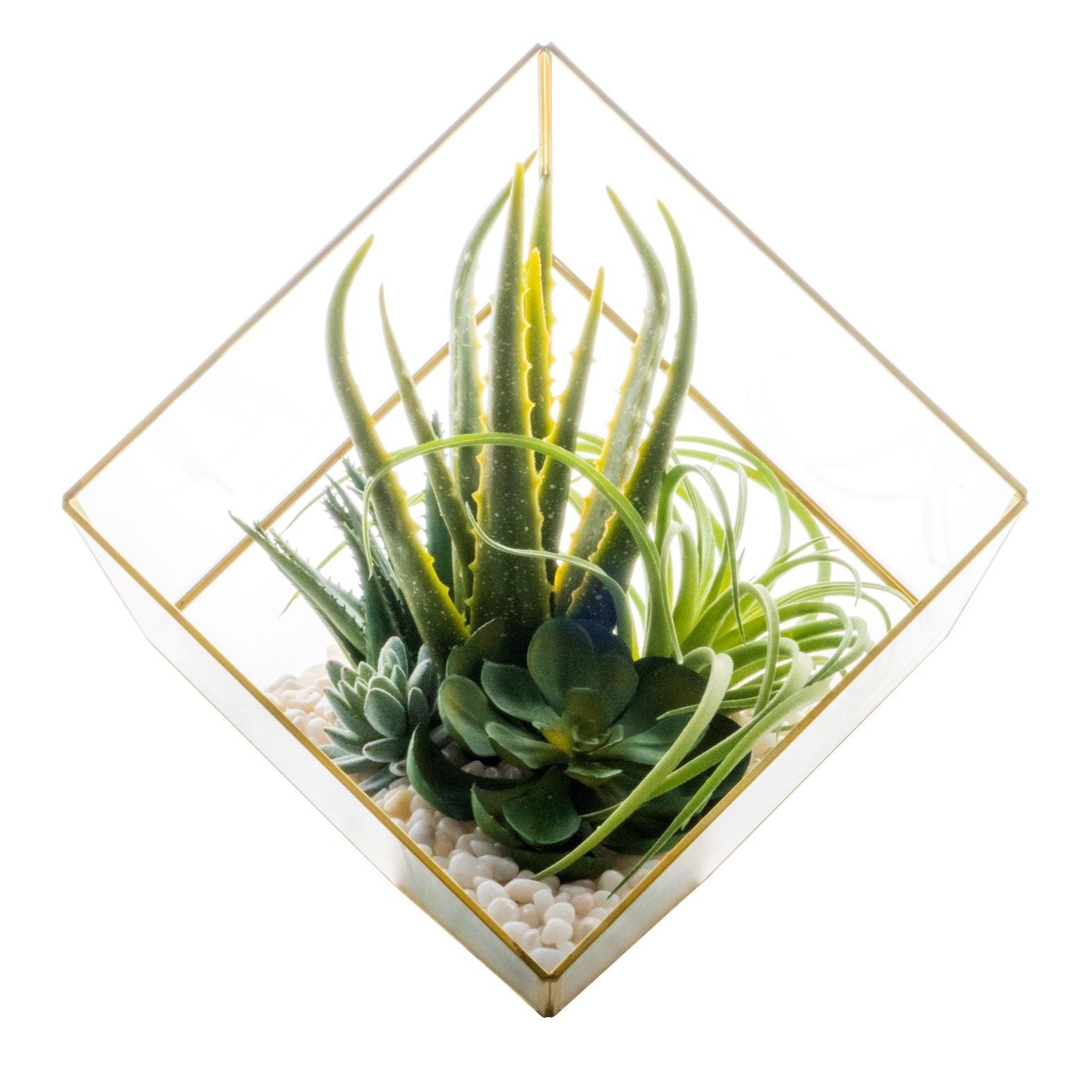 Large Gold Berkley Terrarium Arrangement AR1132