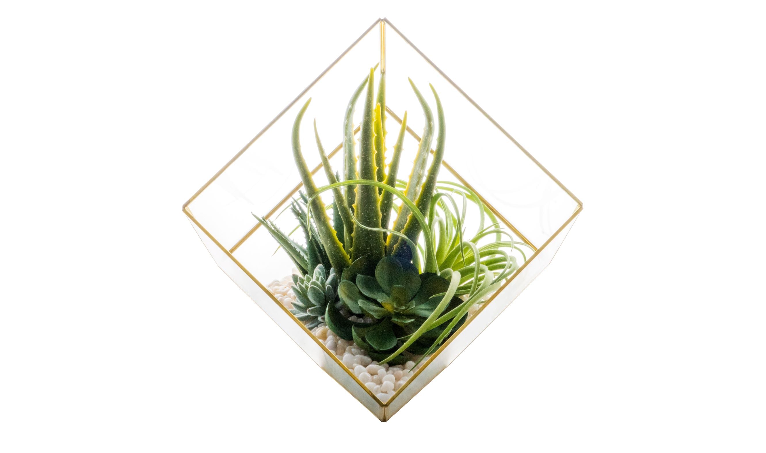 Large Gold Berkley Terrarium Arrangement AR1132