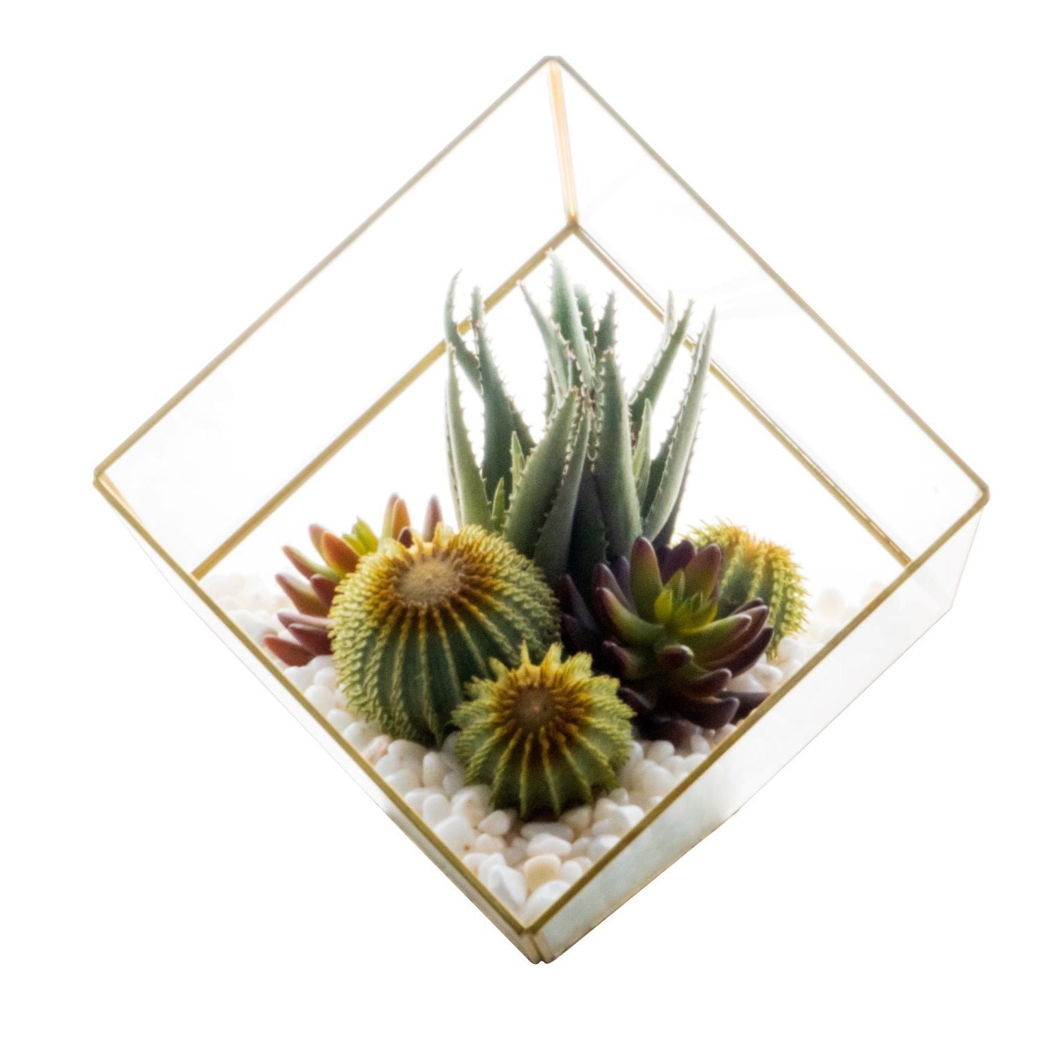 Medium Gold Berkley Terrarium Arrangement AR1133