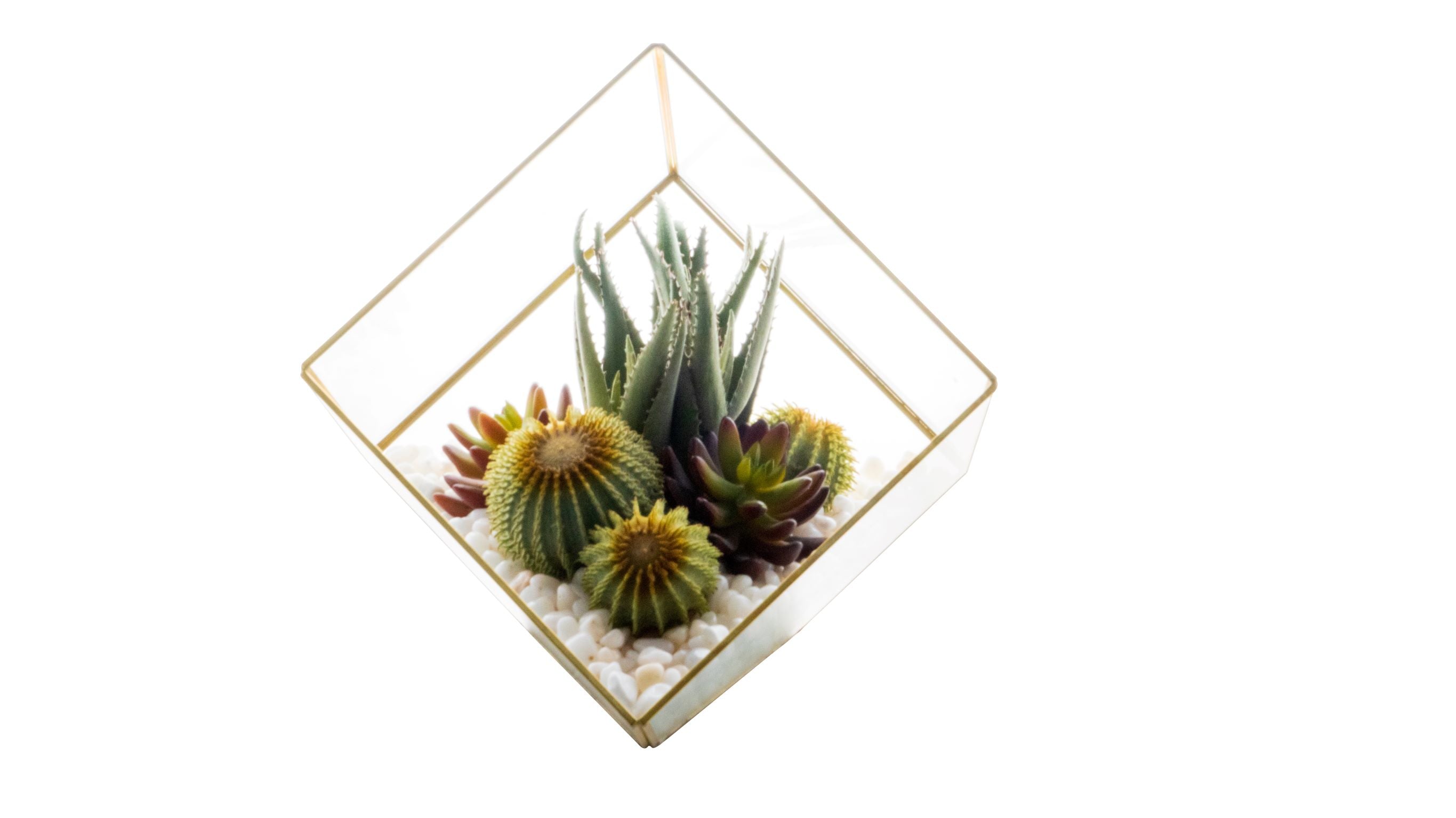 Medium Gold Berkley Terrarium Arrangement AR1133