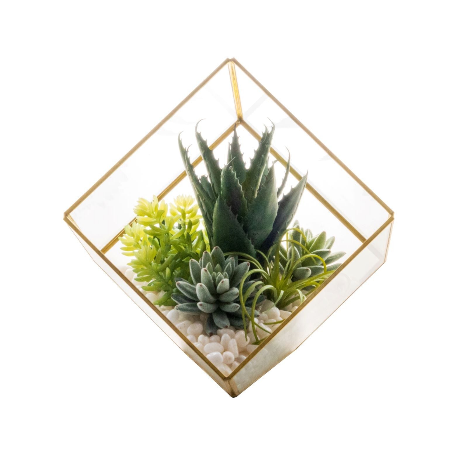 Medium Gold Berkley Terrarium Arrangement AR1134