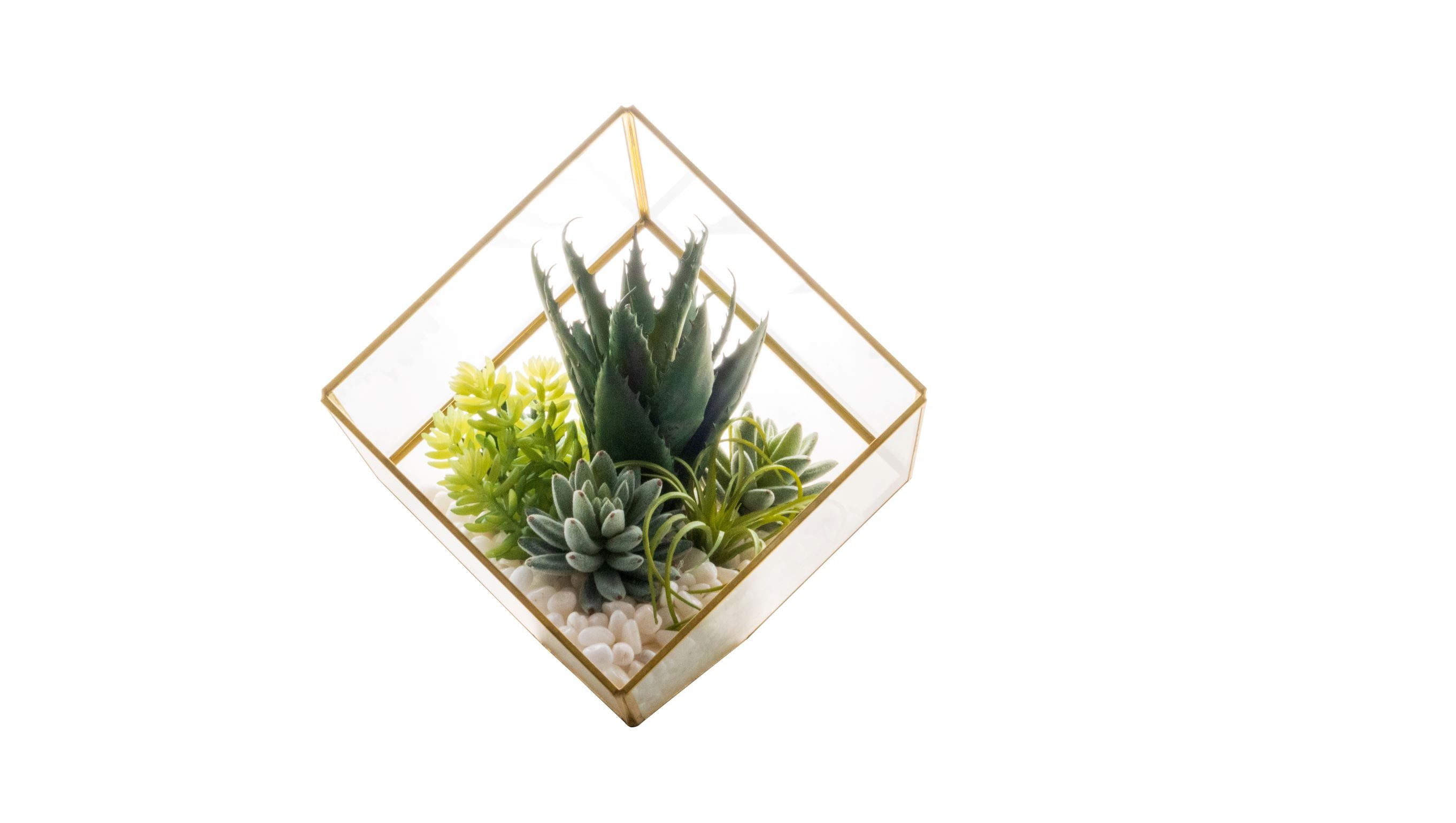 Medium Gold Berkley Terrarium Arrangement AR1134