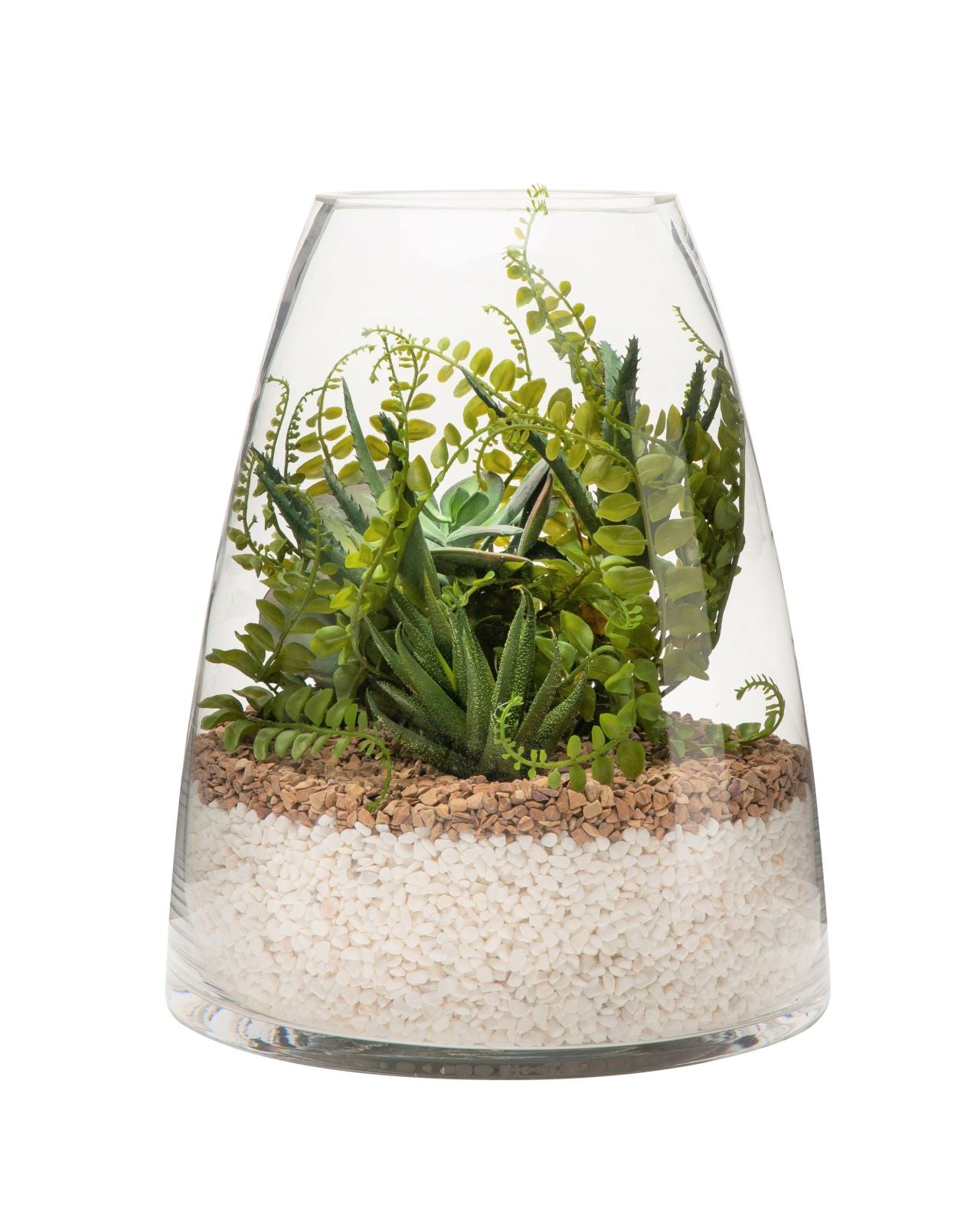 13" Parker Terrarium with Fern and Succulent Arrangement AR1140