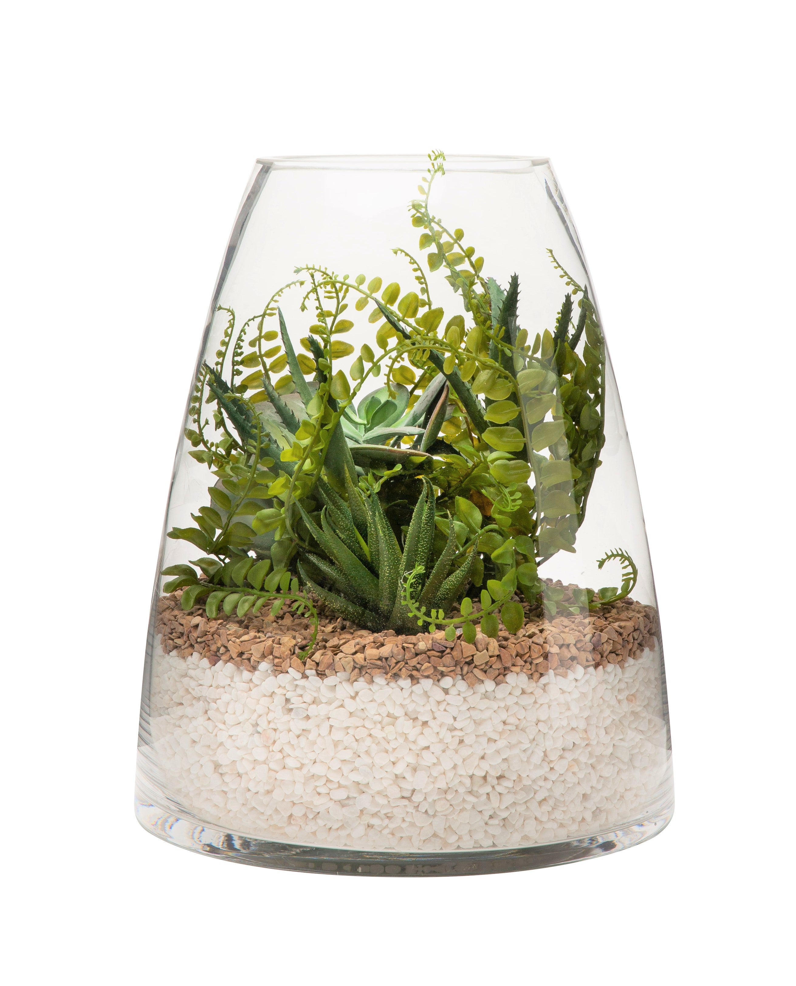 Parker Terrarium Collection   GL1002